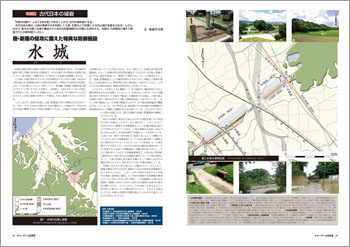 �u�y���j�L���z�Ñ���{�̏�ԁi���������Y�j�v ���ʓ��e