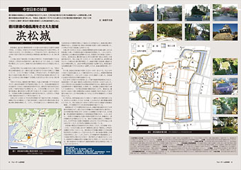 �u�y���j�L���z�Ñ���{�̏�ԁi���������Y�j�v ���ʓ��e