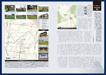 �u�Ñ���{�̏�ԁw�_���E�����x�i���������Y�j�v ���ʓ��e