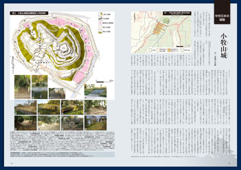 �u�������{�̏�ԁw�_���E�����x�i���������Y�j�v ���ʓ��e